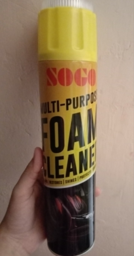 Dust & Rust Cleaning Foam Spray