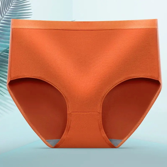 Comfortable Seamless Plus Size Women’s Panties – Mid Waist Hip Lifting Briefs for Everyday Wear