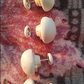 Bedsheet Clips Set