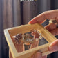 Festive Bracelet Watch With Box
