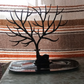 Deer Jewelry Stand