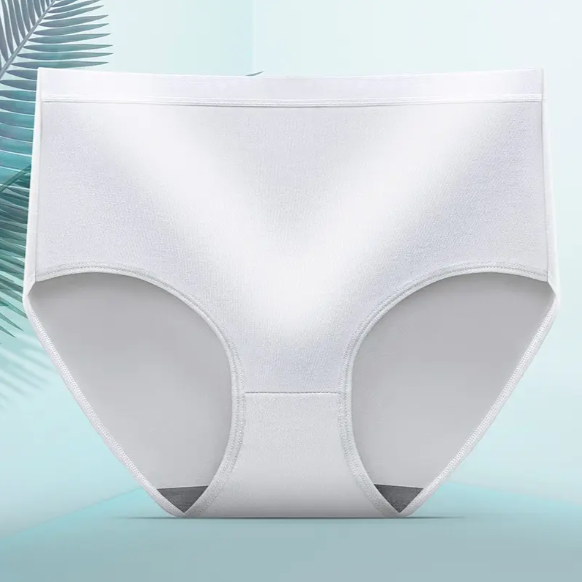 Comfortable Seamless Plus Size Women’s Panties – Mid Waist Hip Lifting Briefs for Everyday Wear