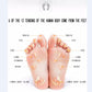 Electric Massage Board
